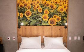 Campos De Holambra Inn